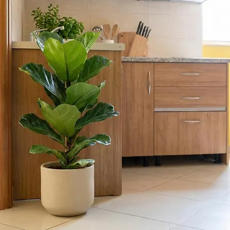 Appartamento Villa Behar Sarandë